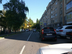 Агрессивные собаки бросаются на прохожих возле школы в центре Ставрополя