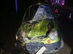 Лошадь пробила лобовое стекло машины с людьми на Ставрополье