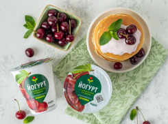 Южане выбирают йогурты «Агрокомплекса»