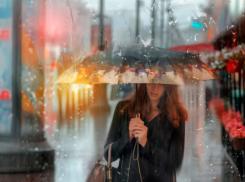 Прохладная погода огорчит жителей Ставрополя в воскресенье