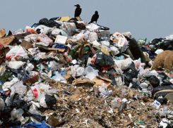 На Ставрополье владелец загрязненного участка заплатит более 8 миллионов за ущерб природе