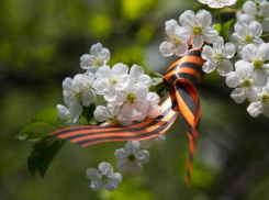 Как пройдет День Победы в Ставрополе в разгар коронавируса