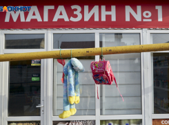 Киоски с «отечественными» товарами должны появиться на Ставрополье летом 2023 года