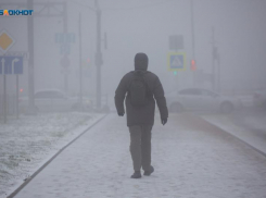 Дистанционное обучение из-за непогоды и болезней могут ввести в ставропольских школах