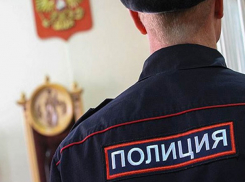 Двое грабителей жестко избили полицейского на Ставрополье 