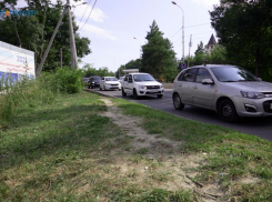 Дефицит бензина, дорогущее такси и закон о выгуле собак — главные новости Ставрополья за прошедшую неделю 