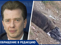 «Жесткость в Георгиевске должна прекратиться»: ставропольцы пожаловались депутату Госдумы на массовую травлю собак  