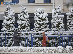 Жители Ставрополя просят перевести детей на дистанционное обучение из-за бушующего снегопада