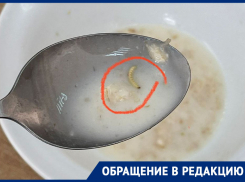 Кашу с гусеницей нашли в лицее в Ставрополе — школа отрицает