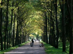 В порядок приведут улицу Доваторцев в Ставрополе