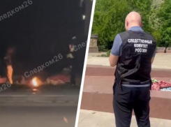 Бросавшие шишки в Вечный Огонь вандалы на Ставрополье могут лишиться свободы на 3,5 года 