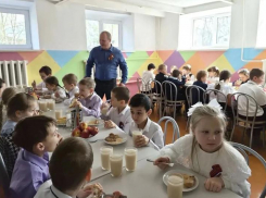 От меню к механизму: ЛДПР запускает аудит школьного питания