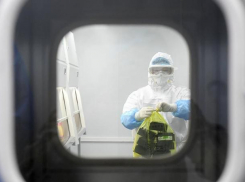 Динамика коронавируса на Ставрополье