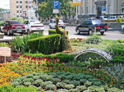 Ставрополь вошел в десятку самых экологичных городов России