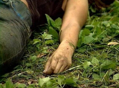 Останки женщины со следами насильственной смерти нашли в лесу в Ставрополе