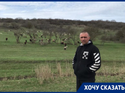 Фермер из Георгиевского горокруга может лишиться источника дохода из-за происков конкурента