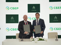 Развитие туризма и недвижимости на юге России: крупные компании расширяют сотрудничество 