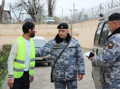 Более сотни мигрантов отправились на родину с начала 2024 года на Ставрополье