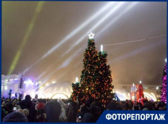 В Ставрополе на площади Ленина прошло открытие главной елки