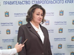 Замминистра здравоохранения Ставрополья Наталья Плотникова получила в суде условный срок