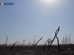 В Ставропольском крае продлили чрезвычайную пожароопасность до 11 июля включительно