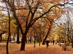 Облачный осенний день ждет ставропольцев в субботу 