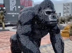 Милая горилла «прописалась» в ставропольском «Шпариже»