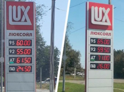 Власти Ставрополья назвали отчаянием ситуацию с ценами на бензин и нехваткой топлива