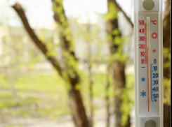 Коронавирус вернул температуру на Ставрополье к климатической норме