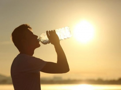 Жара до +40 градусов ожидает жителей Ставрополья в начале недели