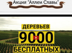 9000 деревьев посадят в Ставрополе, если ставропольцы проголосуют в интернете