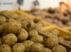 Свекла за 71 рубль и картофель за 96 рублей: овощной набор снова подорожал на Ставрополье 