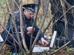 Мужчина избил палкой и изнасиловал девушку в лесу возле Кулакова в Ставрополе