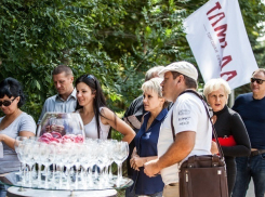 Более 700 человек посетили первый фестиваль «Тамада-2017» в Ставрополе  
