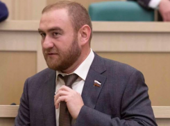 «Матовников рассказывал, что хуже Арашуковых нет на Северном Кавказе и с ними надо покончить», — экс-сенатор поделился интернет-исповедью