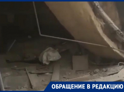 Рухнул после сильного ливня свежеотремонтированный потолок в ДК на Ставрополье 