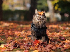 Ветрено и пасмурно будет в Ставрополе во вторник 