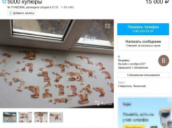 За 15 тысяч рублей продает испорченные мышами 50 тысяч житель Ставрополья