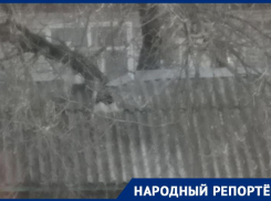 Дерево с территории детского сада обрушилось на частное домовладение многодетной семьи в Изобильном