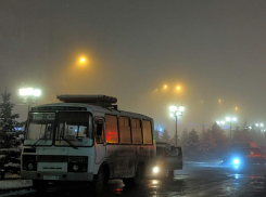 В Ставропольском крае 18 февраля продолжится аномальное тепло, но с дождями