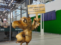 Сбои в расписании: какие рейсы задерживаются в аэропортах Ставрополя и Минеральных Вод