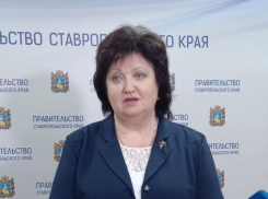 Ставропольцев призвали отказаться от массовых гуляний в новогодние каникулы