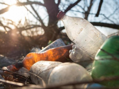 Почти на 200 миллионов рублей нанес вред экологии «Комбинат Благоустройства» в Буденновске 