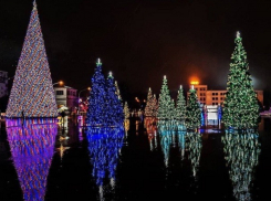 Бесплатную новогоднюю фотосессию для всех желающих устроят в Ставрополе 