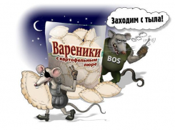 Мышеловка для компании «ДЮК»?