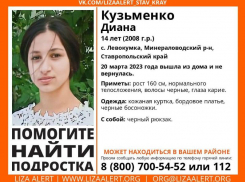 Пропавшую в Минераловодском округе девочку нашли