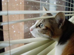 Снег с туманом и гололедом ожидаются в среду на Ставрополье