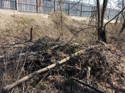 Центральное кладбище города превратили в свалку, - жительница Пятигорска 