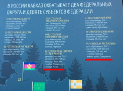 Ставрополь «переехал» в Чечню на стенде всемирно известного горного курорта
