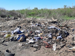 Свалку почти в гектар пришлось убрать владельцу участка на Ставрополье после визита надзорников